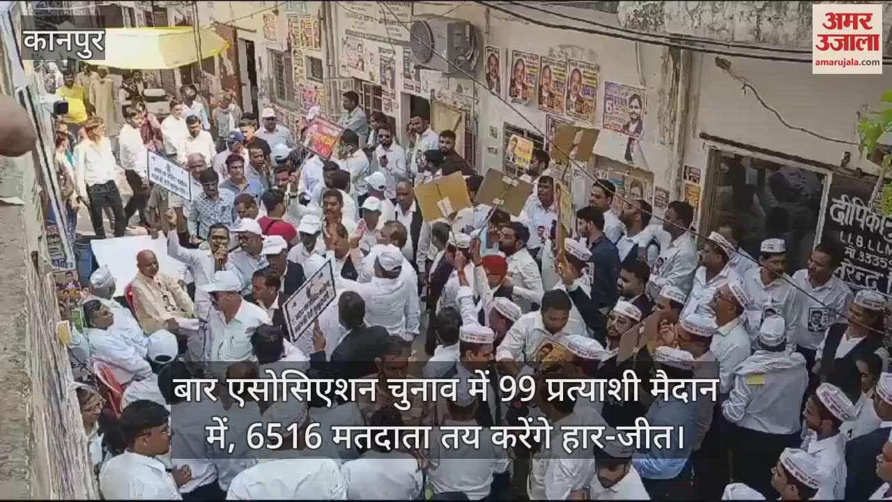 VIDEO : बार एसोसिएशन चुनाव कल, डीएवी डिग्री कॉलेज में पड़ेंगे वोट, अंतिम दिन प्रत्याशियों ने प्रचार में झोंकी ताकत