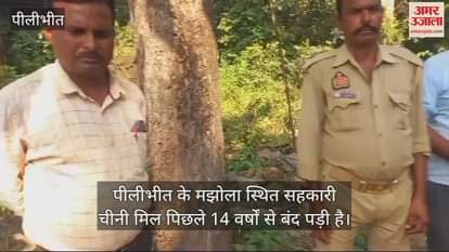 VIDEO : दीवार कूदकर मझोला चीनी मिल में घुसा तेंदुआ, मची खलबली