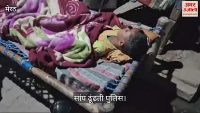 VIDEO : poisonous snake has disturbed the sleep of the entire village, villagers are sleeping in the open, sapera called from Meerut