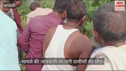 VIDEO : श्रावस्ती : खेत में दिखे अजगर से मचा हड़कंप, इस तरह आया पकड़ में