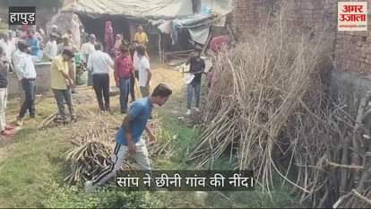 VIDEO : A snake took away the sleep of a village in Hapur bit six people including a mother and two children