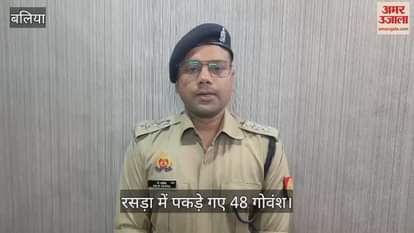 VIDEO : Ballia police got success 48 cattle caught from two trucks