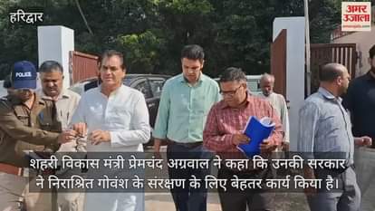 VIDEO : Efforts are being made to ensure that destitute cattle do not roam on the streets in Haridwar