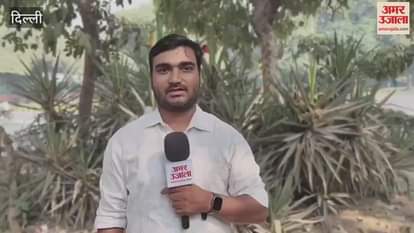 VIDEO : Delhi will not get relief from traffic jam this year trees becoming an obstacle