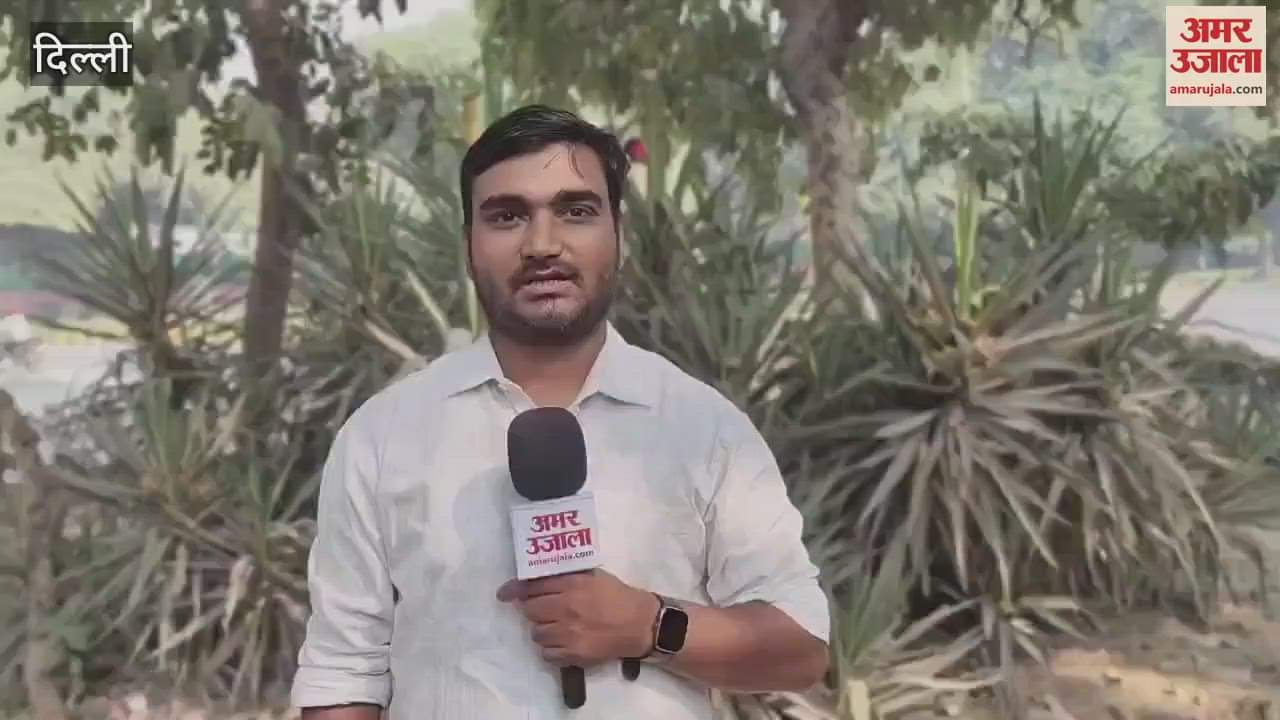 VIDEO : Delhi will not get relief from traffic jam this year trees becoming an obstacle