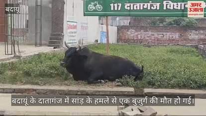 VIDEO : बदायूं के दातागंज में सांड़ ने किया बुजुर्ग पर हमला, मौत