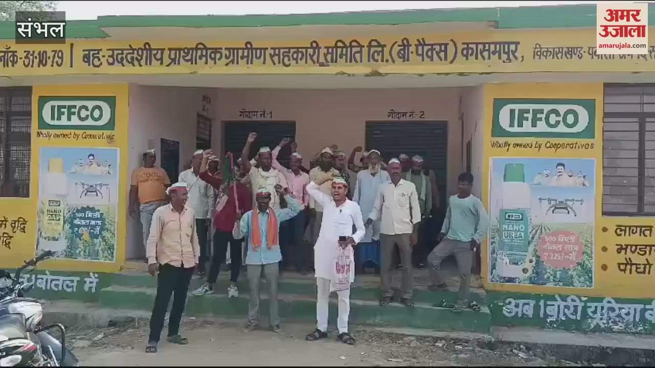 VIDEO : problem of fertilizer persists, farmers of Sambhal district are getting troubled