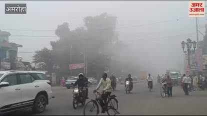 VIDEO : The day turned dark due to a blanket of dust and fog, fog prevailed in Gajraula at 10 am