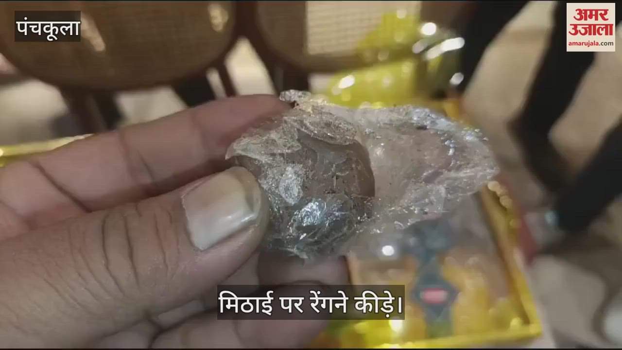 VIDEO : जब मिठाई पर रेंगने लगे कीड़े, देखकर उड़ जाएंगे होश
