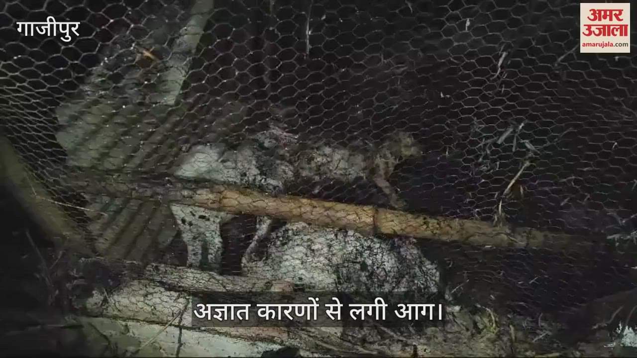 VIDEO : Fire terror in Ghazipur a dozen animals burnt to death family pleaded for help