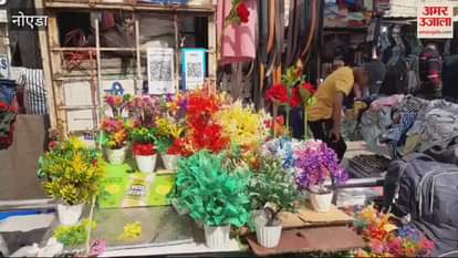 VIDEO : Demand for artificial flowers increased in the market before Diwali