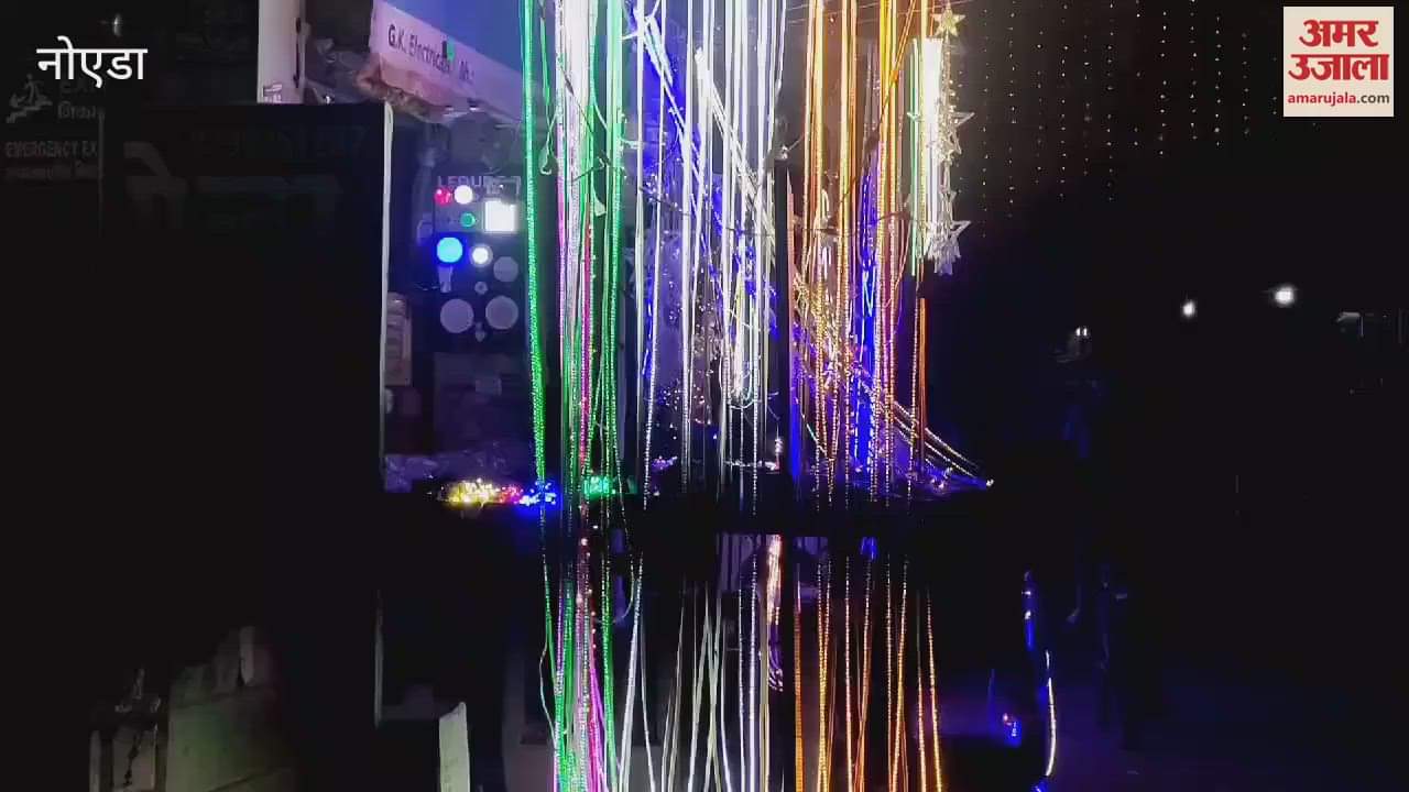 VIDEO : Demand for indigenous fringes increased on Diwali in Noida