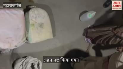 VIDEO : Illegal liquor destroyed in Maharajganj, three detained