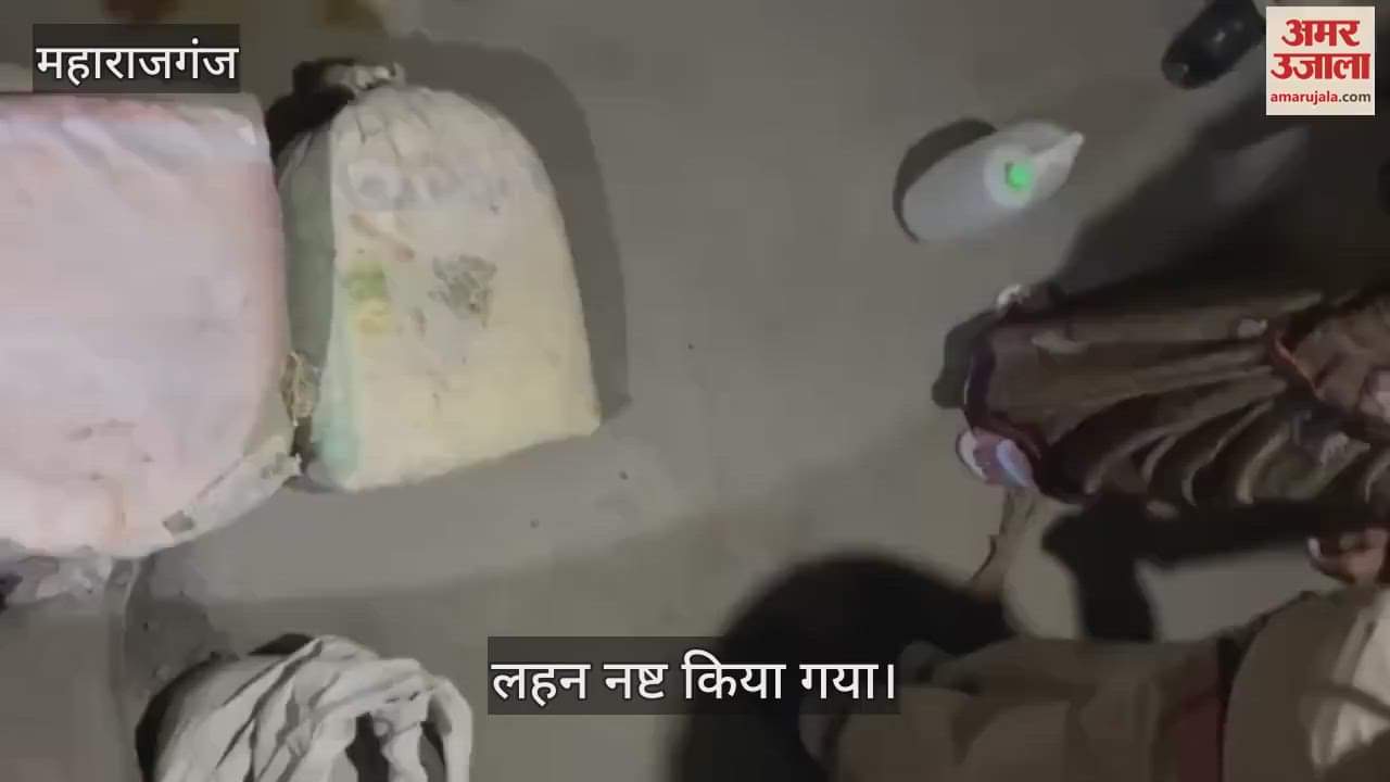 VIDEO : Illegal liquor destroyed in Maharajganj, three detained