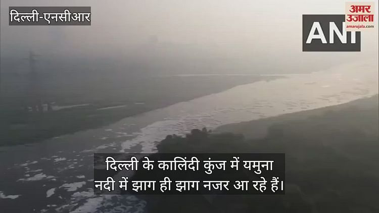 Video : Foam Was Seen Everywhere In The Yamuna River Near Kalindi Kunj – Amar Ujala Hindi News Live