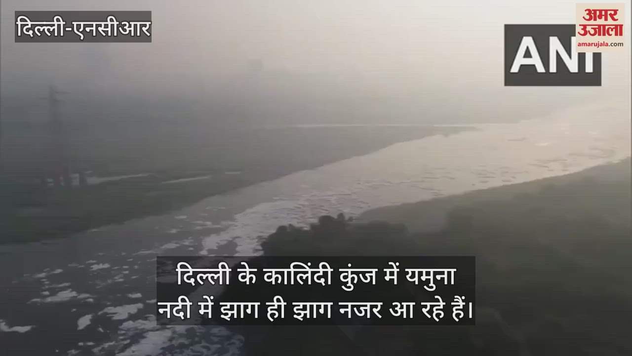VIDEO : Foam was seen everywhere in the Yamuna river near Kalindi Kunj
