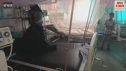 VIDEO : Dengue patients are increasing in Sambhal, seven are being treated in the district hospital