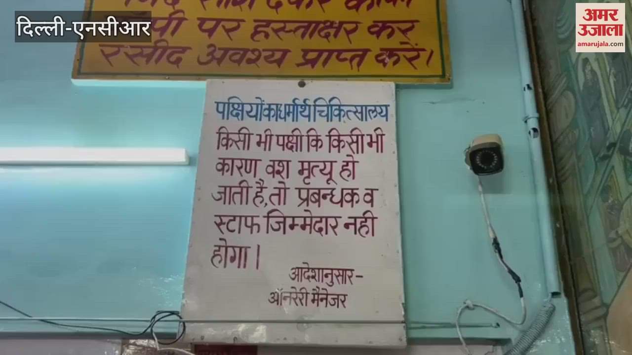 VIDEO : Yamuna's poisonous water is causing serious illness to birds