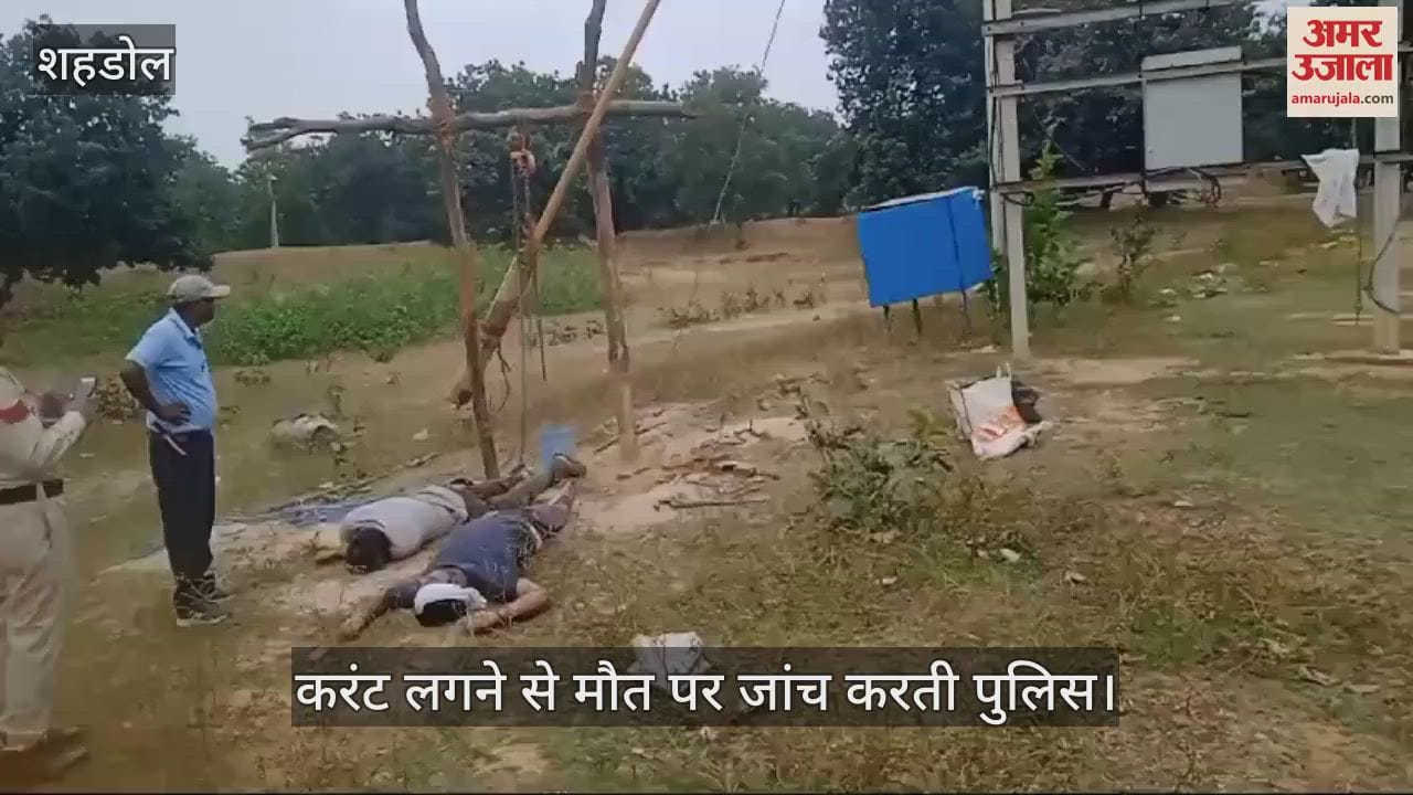 Shahdol News: Four people died in a few hours in Shahdol, due to electrocution and road accident.