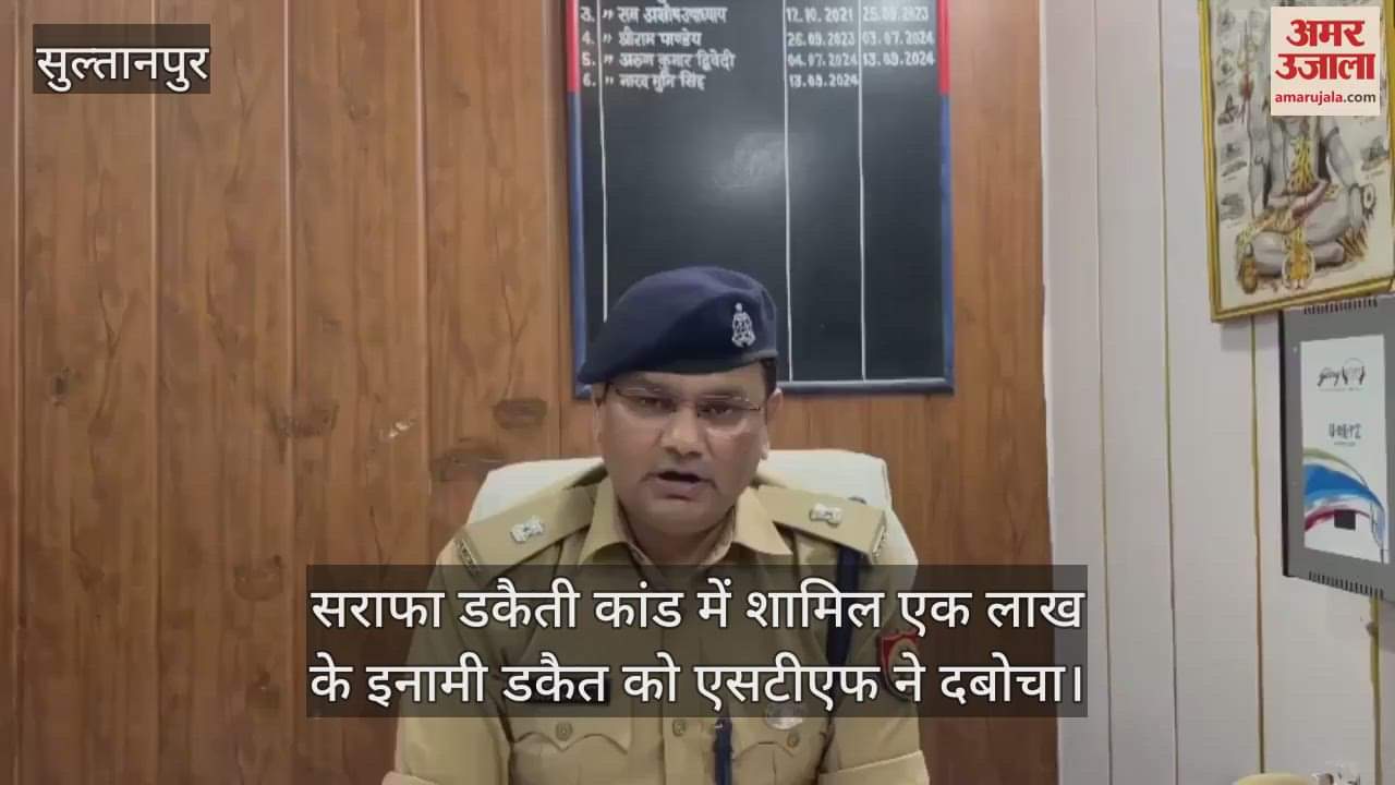 VIDEO : सराफा डकैती कांड में शामिल एक लाख के इनामी डकैत को एसटीएफ ने दबोचा