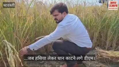 VIDEO : ...जब हसिया लेकर धान काटने लगे डीएम, लोग बोले- अधिकारी हो तो ऐसा