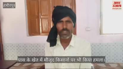 VIDEO : किसान पर काले हिरण ने हमला कर किया घायल, मचा हड़कंप