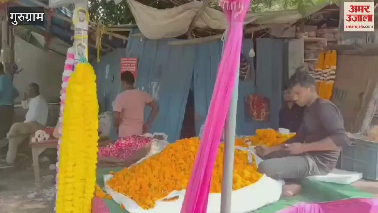 VIDEO : Plastic flowers are now being sold at flower shops in Gurugram