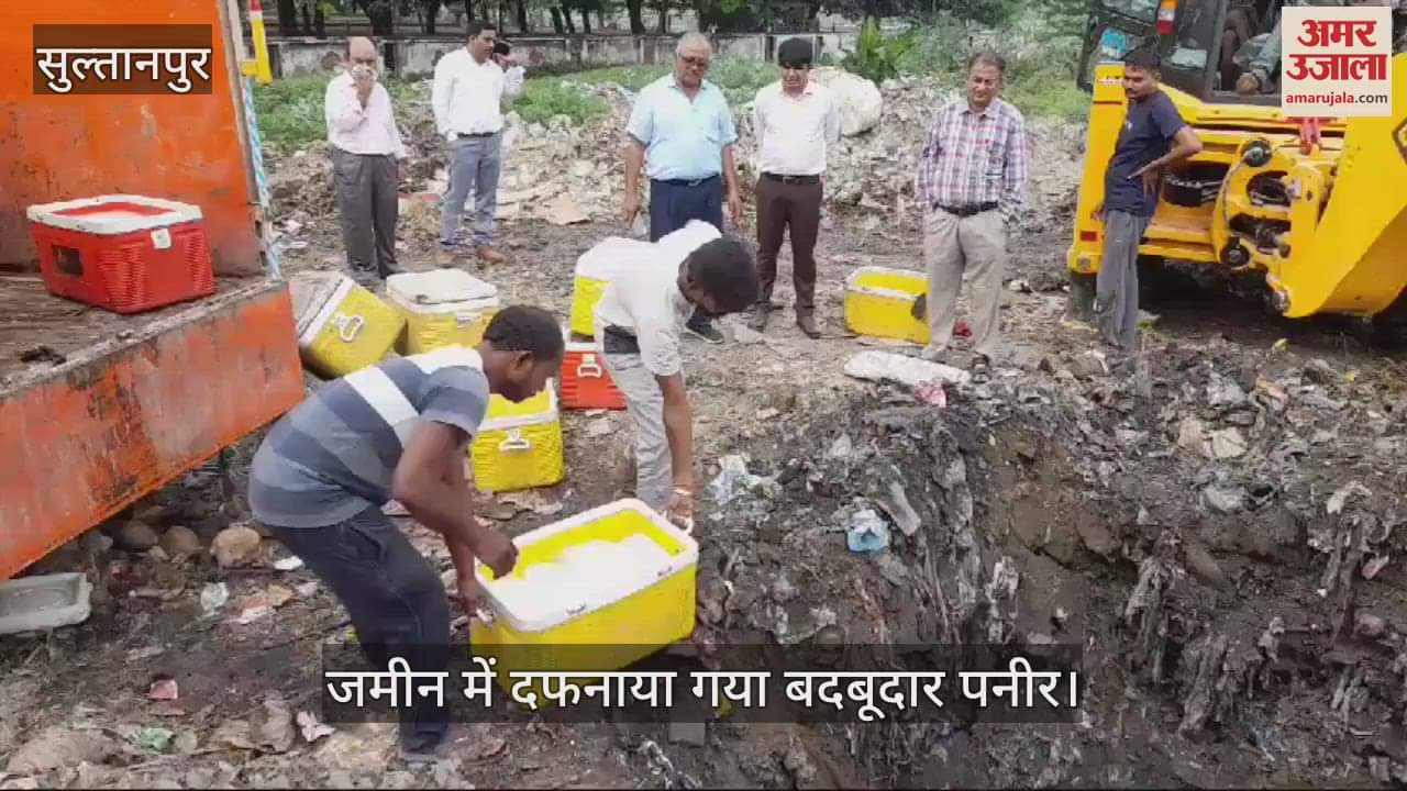 VIDEO : दिवाली पर खपाने के लिए लाया गया था 360 किलो बदबूदार पनीर, जमीन में दफनाया गया