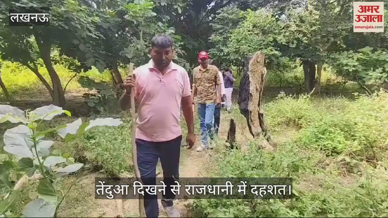 VIDEO : तेंदुआ दिखने से राजधानी में दहशत, वन विभाग की टीम ने चलाया कांबिंग अभियान