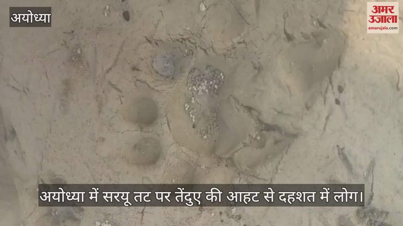 VIDEO : अयोध्या में सरयू तट पर तेंदुए की आहट से दहशत में लोग, वन विभाग कर रहा निगरानी