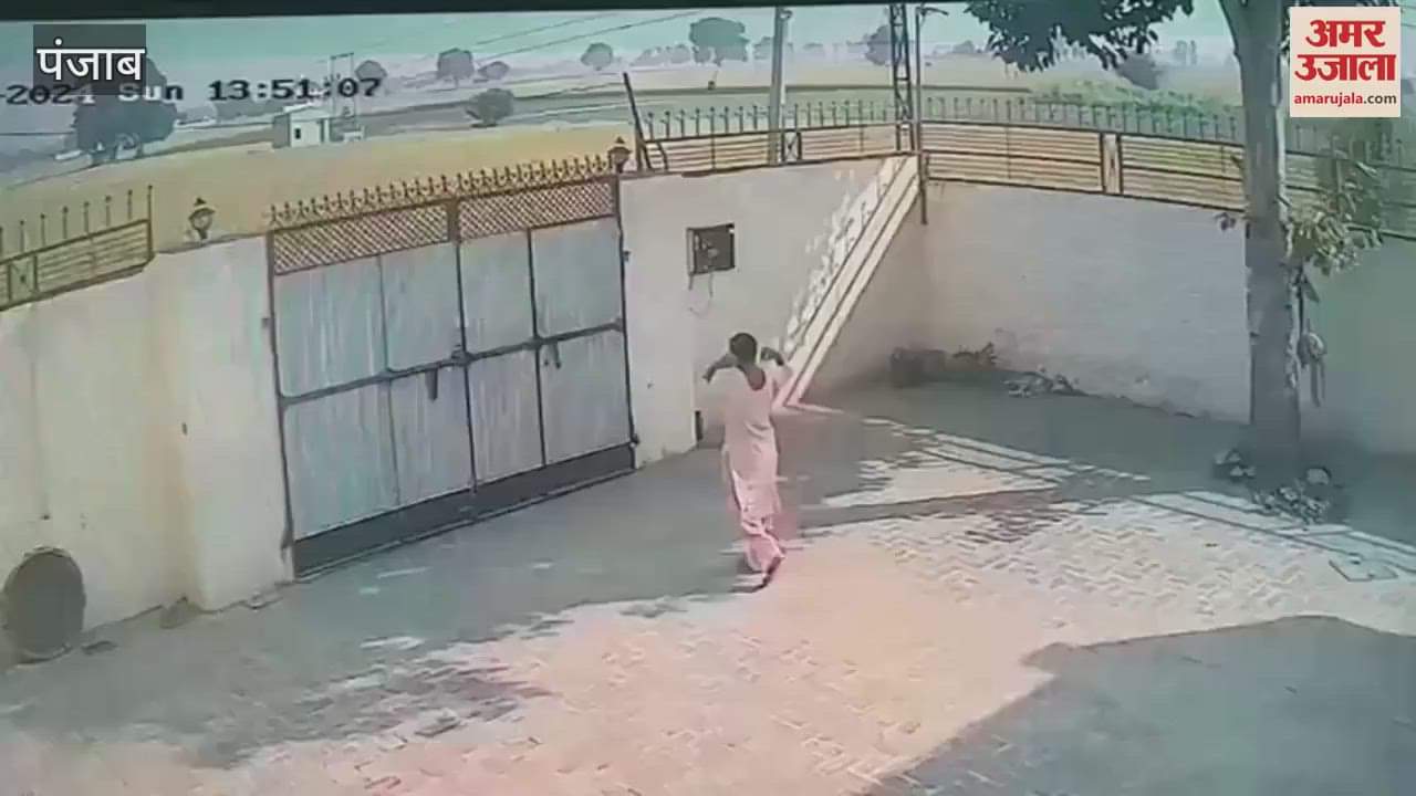 VIDEO : मोगा में दिनदहाड़े घर में घुस महिला के कान से छीनी सोने की बालियां