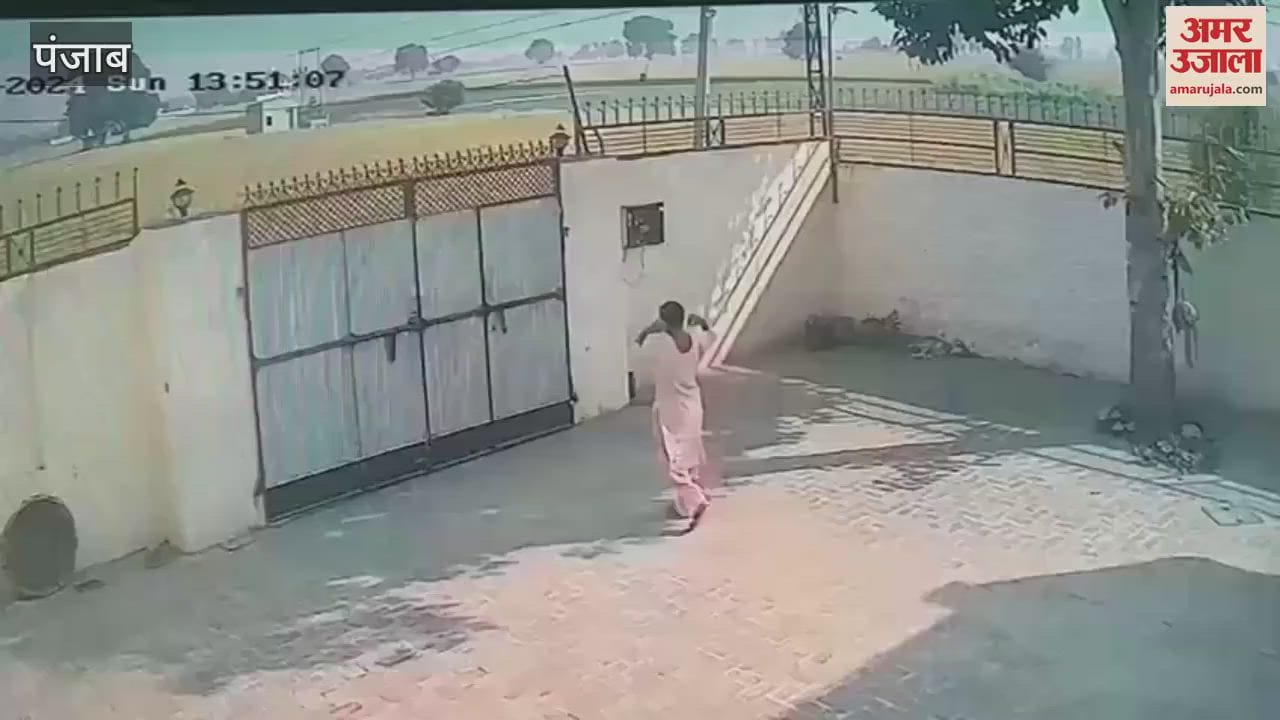 VIDEO : मोगा में दिनदहाड़े घर में घुस महिला के कान से छीनी सोने की बालियां