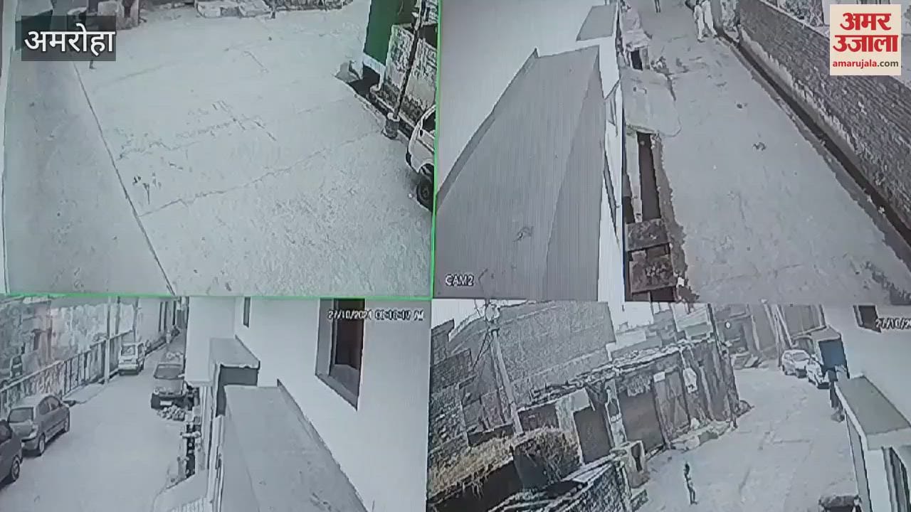 VIDEO : five-year-old innocent child playing outside the house in Amroha was bitten by a dog, causing deep wounds on his neck