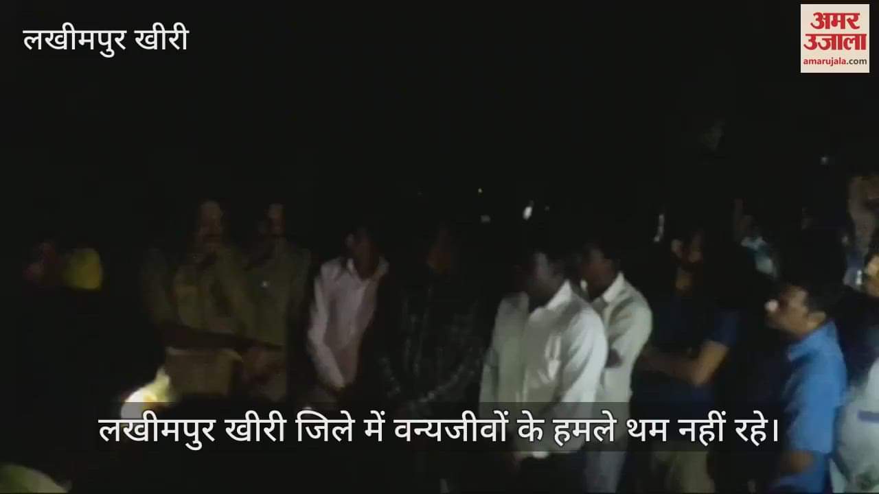 VIDEO : लखीमपुर खीरी के मझगईं में बाघ ने ली युवक की जान, घर के बाहर से दबोच ले गया
