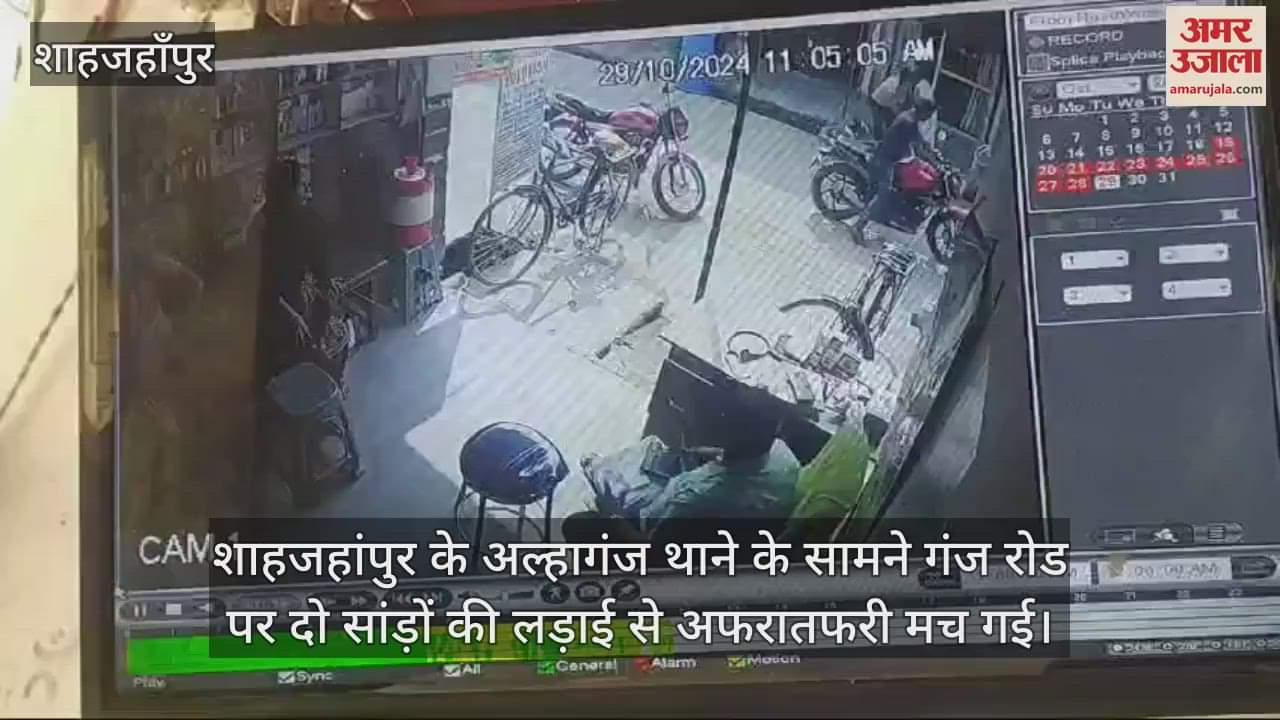 VIDEO : बाजार में सांड़ों ने फैलाई दहशत, लड़ते-लड़ते मेडिकल स्टोर में घुसे