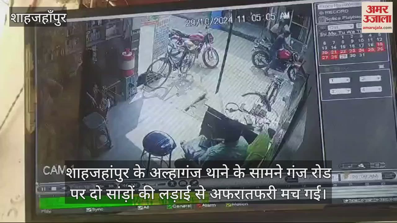 VIDEO : बाजार में सांड़ों ने फैलाई दहशत, लड़ते-लड़ते मेडिकल स्टोर में घुसे