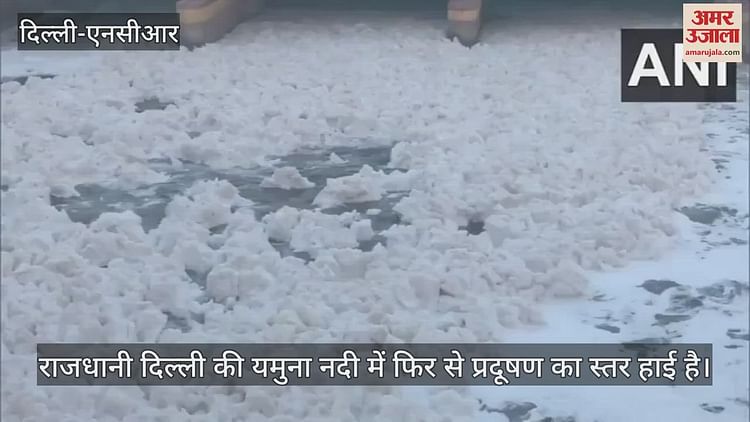 Video : Toxic Foam Seen Again In Delhi Yamuna River Before Chhath Watch Video – Amar Ujala Hindi News Live