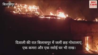 VIDEO : Diwali, six cow shelters, one room and a kitchen burnt to ashes in Bilaspur