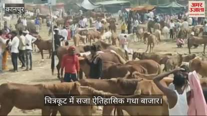 VIDEO : चित्रकूट में मंदाकिनी नदी के किनारे सजा गधा बाजार, फिल्मी सितारों के नाम वाले खच्चर-गधों की लगेगी बोली