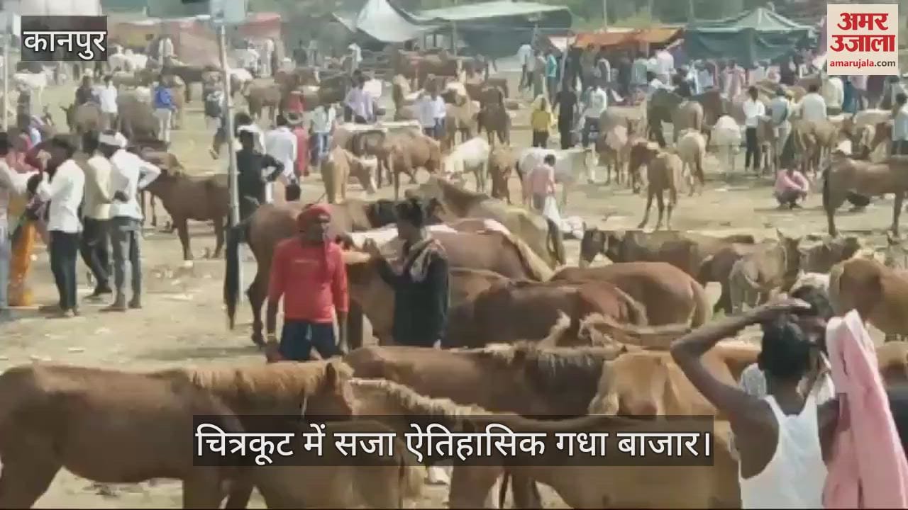 VIDEO : चित्रकूट में मंदाकिनी नदी के किनारे सजा गधा बाजार, फिल्मी सितारों के नाम वाले खच्चर-गधों की लगेगी बोली