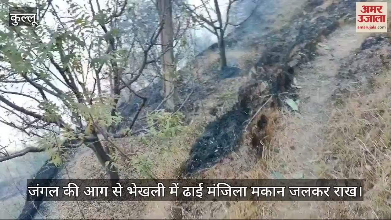 VIDEO : two and a half storey house burnt to ashes in Bhekhali due to forest fire, apple orchards also damaged