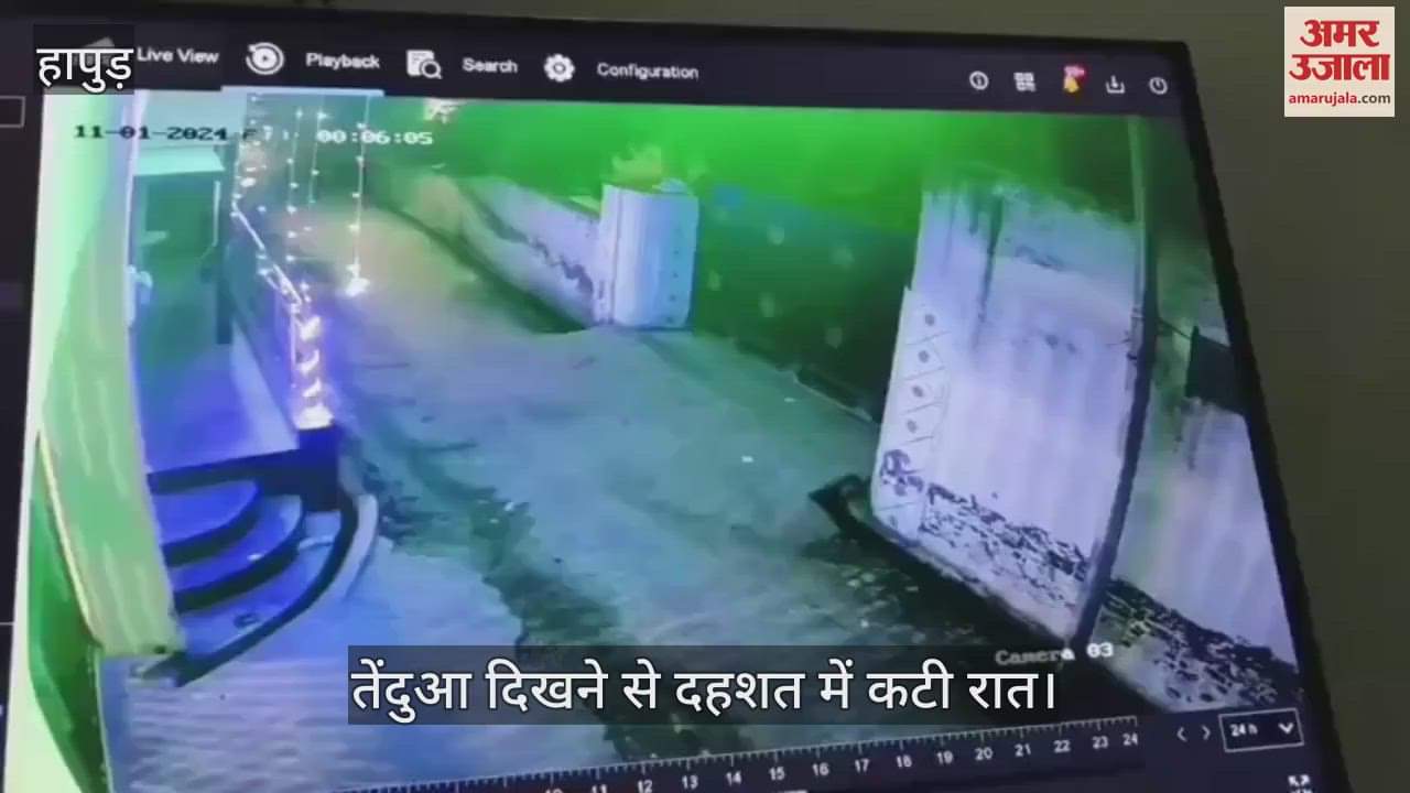 VIDEO : Villagers spent night in terror after seeing a leopard on Diwali in Hapur