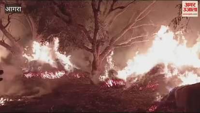 VIDEO : दिवाली ने रुला दिए किसान, आंखों के सामने जल गई करब...