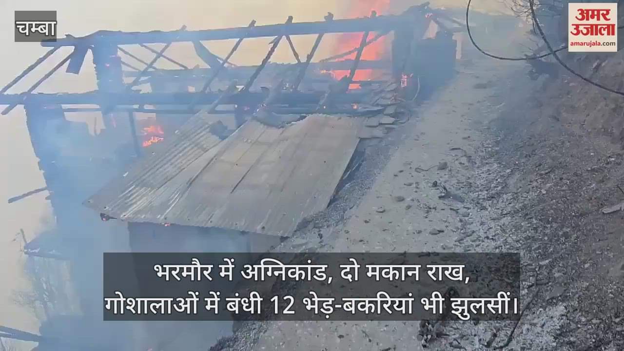 VIDEO : Fire in Bharmour, two houses reduced to ashes, 12 sheep and goats tied in cowsheds also scorched