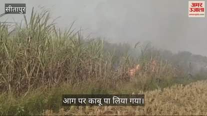 VIDEO : Sitapur: गन्ने के खेत मे लगी आग, कई बीघा फसल जली, दमकल ने पाया काबू