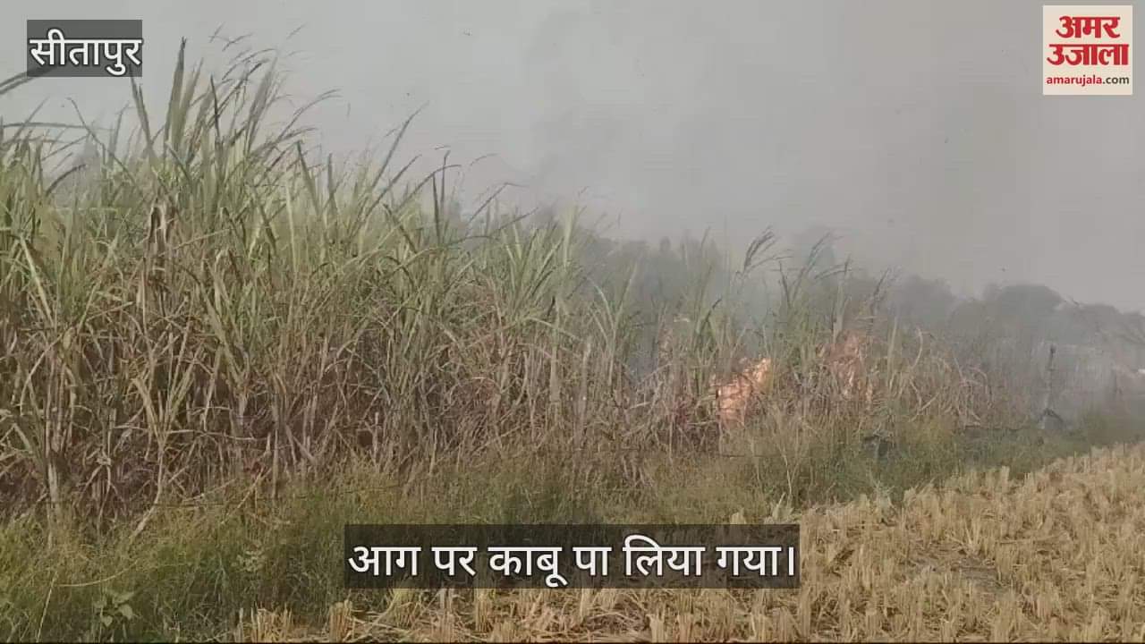 VIDEO : Sitapur: गन्ने के खेत मे लगी आग, कई बीघा फसल जली, दमकल ने पाया काबू