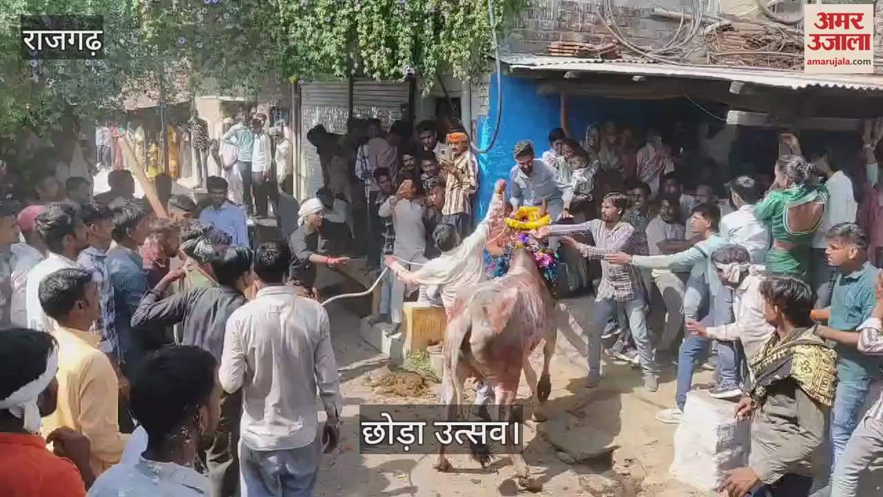 Chhoda festival held in Rajgarh on the second day of Diwali,