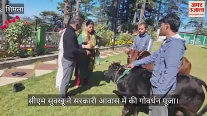 VIDEO : CM Sukhu performed Govardhan Puja at the government residence