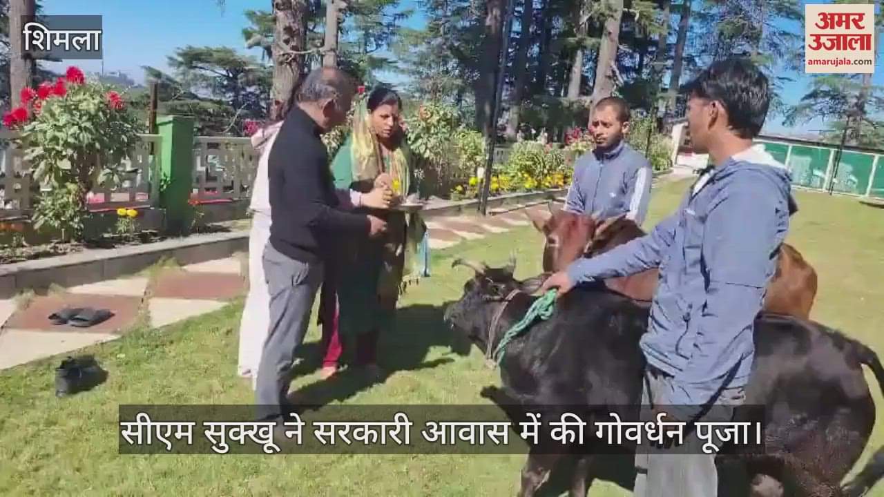 VIDEO : CM Sukhu performed Govardhan Puja at the government residence