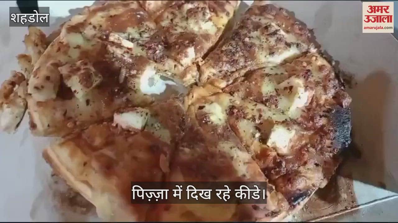 Insect found in pizza customer expressed objection, shopkeeper said insect appeared due to change in weather